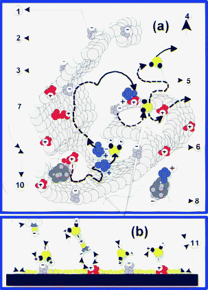 Proposed mechanisms for the transportation and reticulation of toxic compounds and their degradation by-products. The proposed mechanisms explain the chemical affinity (selectivity) of the nanocomposite towards the toxic compounds and their intermediary degradation by-products, as well as their permissive behaviour towards fluids and toxic compounds with ionic strength close to pH 7. Thus, toxic compounds can access (7) the functionalized surfaces (2) through the microcavities found in their framework. The microsites (10) with acid behaviour (3), those with base behaviour (1) or those with electric charges can reticulate the pollutants (8) in a destructive manner or by physical and chemical adsorption processes. Non-toxic molecular fractions (5) and molecular clusters can mediate mass and charge transfers between various neighbouring sites (6) or between them and the toxic compounds. In order to explain the stability of the functional structure of the composite we make the assumption that various hosted functionalities are delimited through chemically inert material microsurfaces (11). Finally, only environmentally friendly degradation by-products can leave the functionalized material (4).