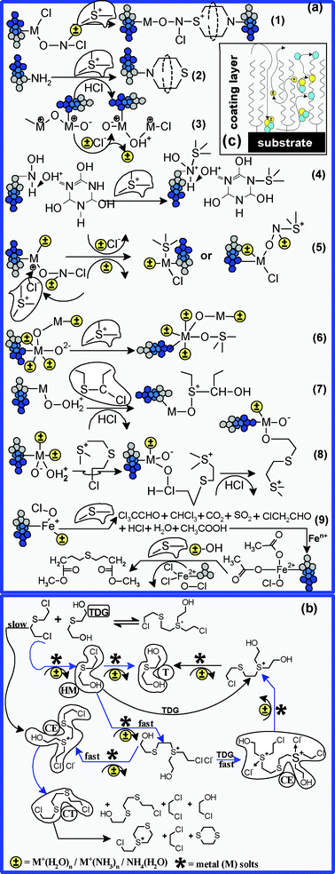 Proposed degradation-encapsulation mechanisms in the case of yperite. When the water : yperite ratio is over 50 : 1, then degradation by-products are most likely to appear, as shown in diagram (b). Also, the main types of functional groups grafted in the FC framework and their most probable reticulation mechanisms are presented in diagram (a).