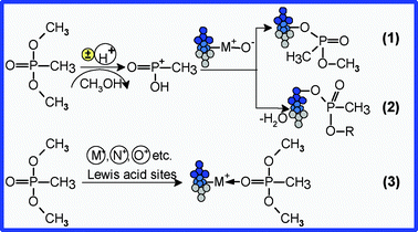 Proposed mechanisms for DMMP encapsulation.