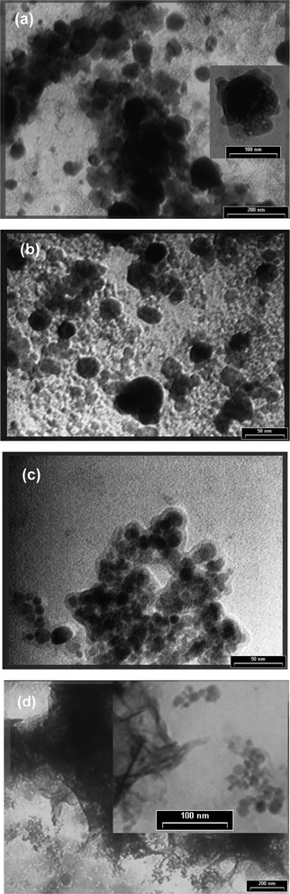 TEM micrographs of S1 (a), S2 (b), S3 (c) and FC (d).