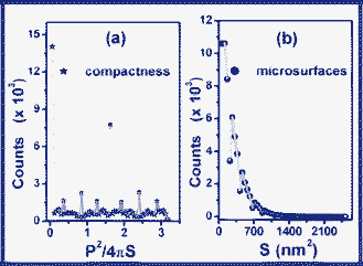 Distributions of segmented microsurfaces (a) and of their compactness (b) in the case of FC. The elementary segmentation was performed on the micrograph showed in Fig. 4a (52.19 k × magnification; full-scan threshold level).