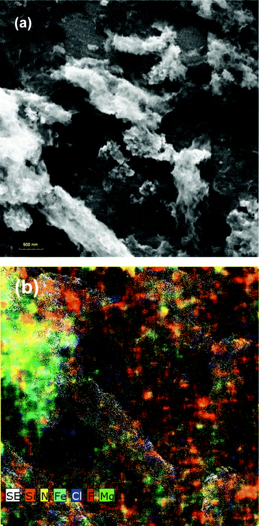 SEM micrograph of FC (a) and their chemical mapping (b).