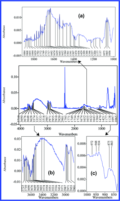 IR spectra of S2 dehydrated suspension. In order to reveal the analytical structure of their peaks, the main IR absorption bands are presented distinctly (830–1000 (c), 1000–1900 (a), 2850–3750 cm−1 (b)).