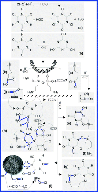 The main types of functional groups grafted in the framework structure of the S3 suspension and their probable mechanisms. In solution, TCCA releases H+ and ClO− (a) and passes into enolate form (b). The resulted chloramines (c) can be hydrolysed, resulting various oximic functionalities (d) or chloro–oximic mixtures (k). Through condensation processes, new types of functional groups may result, such as: N–Cl and C–OH in the triazinic ring (e); Si–O–N and Si–N (f); Fe–O–NO, Fe– (O)2–N– and Fe–O–Cl(i). Moreover, the amino-groups coming from the framework of coating layers may be transformed into nitrito (NO) and nitrosyl (ONO) (i and h) functionalities. The nitrogen and the oxygen can easily establish strong intramolecular hydrogen bonds or can coordinate H2O, Cl, H, or other small molecules (h), which were found as residues coming from the reaction medium, or in the framework of the composite. Additionally, the primary amines can be oxidated by HOCl, or can establish condensation reactions with the hydroxylated functionalities, leading to the appearance of groups, such as N–O–Cl and C–O–Cl (h).