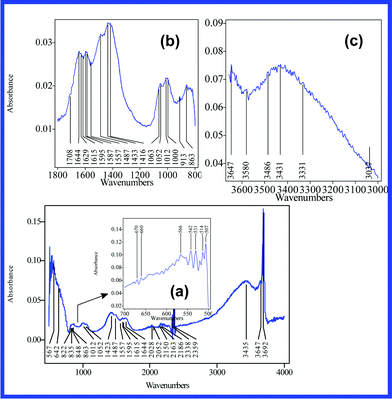 IR absorption of the fabricated nanocomposite. In order to reveal the analytical structure of their peaks, the main IR absorption bands are presented distinctly (500–700 (a), 800–1800 (b), 3000–3660 cm−1 (c)).