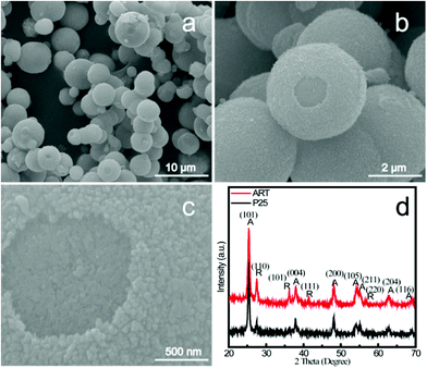 (a)–(c) FESEM images of anatase/rutile TiO2 nanocomposite microspheres via a simple hydrothermal method at different magnifications. (d) Typical XRD patterns of the products obtained at 150 °C; A: anatase; R: rutile.