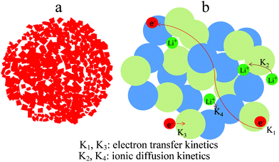 (a) Schematic showing anatase/rutile TiO2 nanocomposite microspheres; (b) simple schematic representations of electron transport and Li-ion diffusion paths in ART electrode.