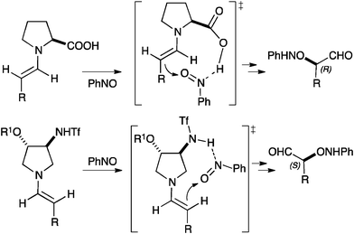 Rationalisation of the observed enantioselectivity in the α-aminoxylation of aldehydes catalysed by 1–3.