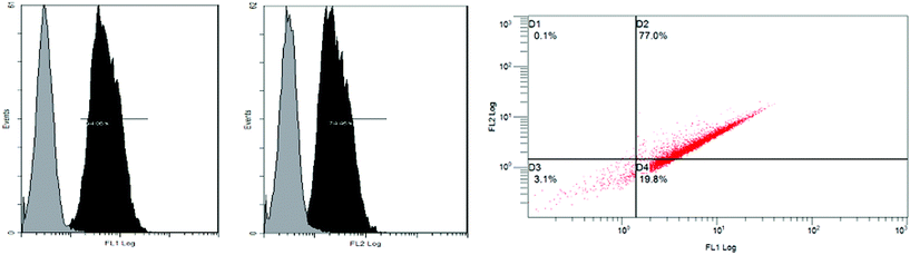 Flow cytometer analysis of co-displayed recombinants. Compared with controls cells GS115 which was indicated by grey peaks, FL1 (green fluorescence) and FL2 (red fluorescence) channels could be tested with strong positive signals and showing significant floating, the floating rates were 94.86% for GS115/pPICZαA-TLS and 74.45% for GS115/pPIC9k-CAS, which were indicated by black peaks.