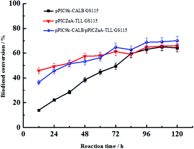 Time course of biodiesel production by whole-cell catalyst in tert-butanol. Conditions: methanol/oil ratio 1 : 4, soy oil 2.19 g, tert-butanol 1.111 mL, methanol 0.404 mL, lipase loading 80 U, reaction temperature 40 °C, rotating speed 200 r min−1, reaction 96 h, in a 50 mL stoppered Erlenmeyer flask. The ME yields for single displayed CALB, TLL and co-displayed CALB-TLL were 61.58%, 60.00%, and72.62%, respectively.