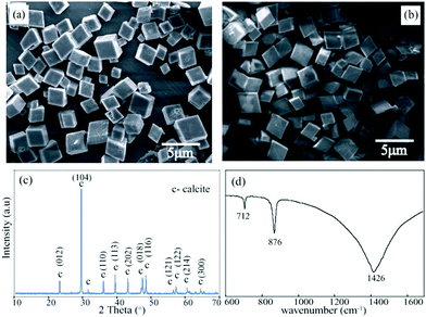 (a) and (b) are SEM micrographs of calcite formed in the absence of the additive; (c) PXRD spectra showing predominant calcite phase; (d) FT-IR spectra showing the characteristic calcite peaks. (Data collected after 2 h at RT).