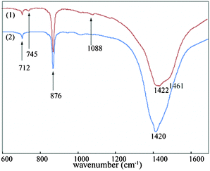 FT-IR spectra at 10 μM dye concentration (1) showing peaks of calcite and vaterite (collected after 4 h); (2) disappearance of the vaterite peak owing to the formation of the stable calcite (collected after 3 days of incubation).