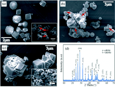 SEM micrographs at 10 μM dye concentration, (a) co-existence of vaterite and calcite; inset: dissolution of vaterite to calcite (time 4 h); (b) vaterite phase transformation by dissolution to calcite (6 h); (c) stacked calcite crystals formed after 4 days of incubation; (d) PXRD spectra collected after 4 h. All data were collected at room temperature.