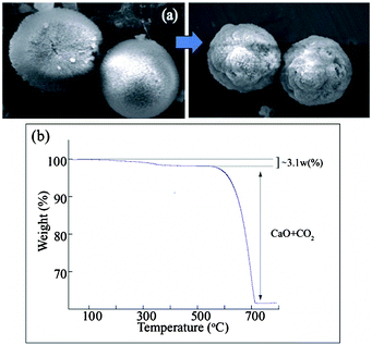 (a) Vaterite microspheres after the incubation period of 7 days. (b) TGA profile of vaterite microspheres obtained at higher concentration ∼10 mM.