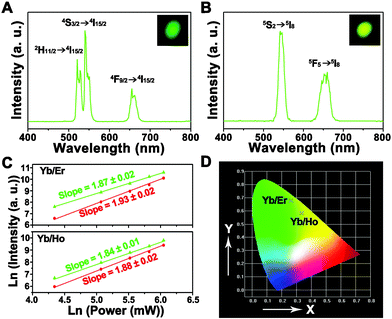 Upconversion luminescence spectra of (A) NaLuF4:17%Yb3+,3%Er3+ and (B) NaLuF4:17%Yb3+,3%Ho3+ crystals under 980 nm LD excitation (inserts are the corresponding photographs); (C) pump power dependence of the green, and red upconverted emissions in NaLuF4:17%Yb3+,3%Er3+ and NaLuF4:17%Yb3+,3%Ho3+; (D) the CIE chromaticities of NaLuF4:17%Yb3+,3%Er3+ and NaLuF4:17%Yb3+,3%Ho3+.