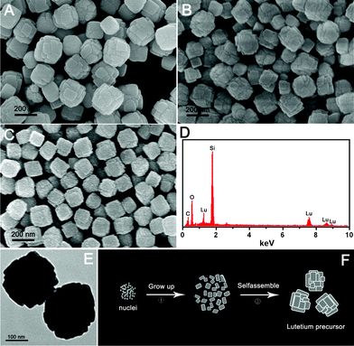 SEM images of lutetium precursors prepared with 0.06 g (A), 0.12 g (B) and 0.18 g (C) urea; EDS of lutetium precursor prepared with 0.18 g urea (D); TEM image of lutetium precursor prepared with 0.18 g urea (E); and schematic illustration for the formation process of lutetium precursor (F).