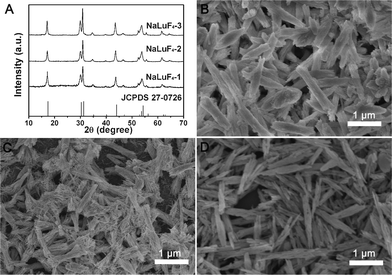 XRD patterns (A) and SEM images of NaLuF4 crystals synthesized at 180 °C for 24 h with different lutetium precursors: precursor prepared with 0.06 g urea (B), precursor prepared with 0.12 g urea (C), and precursor prepared with 0.18 g urea (D). All of the samples were obtained with 0.5 g NaF.