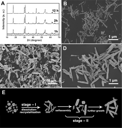 XRD patterns (A) and SEM images of NaLuF4 crystals synthesized at 180 °C for different reaction times: 1 h (B), 2 h (C), and 12 h (D); schematic illustration for the formation process of NaLuF4 crystals (E). All of the samples were obtained using 0.5 g NaF and lutetium precursor prepared with 0.18 g urea.