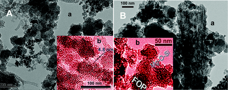 TEM images of FOASH (A) and CMOC (B), where images b are colored for convenient observation.