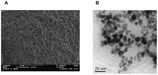 (A) SEM image of carbon nanospheres; scale bar 5 μm. (B) TEM image of PCN.