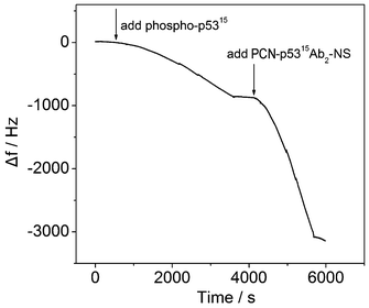 QCM responses in the immunoreactions.