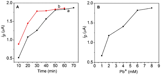 (A) Dependence of the stripping current on the incubation time of phospho-p53 (a) and PCN/p5315Ab2 (b). (B) Dependence of the stripping current on the concentration of lead nitrate.