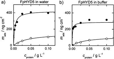 Binding curves of FpHYD5 in water and in a 50 mM acetate buffer. The closed symbols are the adsorbed masses measured by QCM, whereas the open symbols represent ellipsometry data. A simple one binding site curve was fitted to all data. With QCM, a significantly higher mass was measured in both conditions.