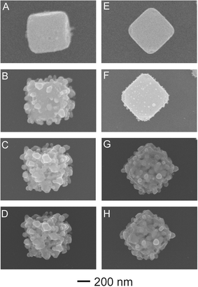 SEM images of a singular AgCl:Ag (A–D) and AgCl (E-H) mesostructures and their pathways to the formation of highly textured silver nanomaterials after direct exposure to the e-beam.