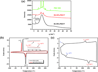 (a) WAXS data for annealing MU-DPy-PEG1T, BU-DPy-PEG1T and the control PEG 1000. DSC curves of (b) MU-DPy-PEG1T and (c) BU-DPy-PEG1T.