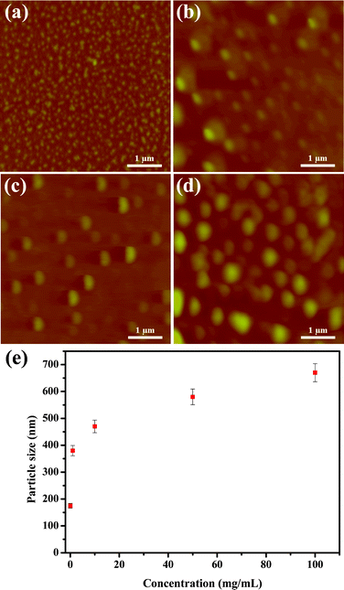 AFM images of annealed BU-DPy-PEG1T on the wafer surface with different concentrations: (a) 0.0067, (b) 1, (c) 10 and (d) 100 mg mL−1. (e) Particle size of annealed BU-DPy-PEG1T versus concentration as measured by AFM.