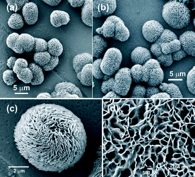 FESEM image of 18β-glycyrrhetinic acid xerogel at 0.25 % (w/v) concentration in: (a–c) o-dichlorobenzene at different magnifications, (d) nitrobenzene.