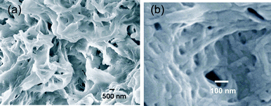 FESEM image of 18β-glycyrrhetinic acid xerogel in o-dichlorobenzene (0.25 % w/v) at (a) 10 000× magnification, (b) 83 000× magnification.