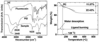 (a) FT-IR absorption spectra of PEI, fluorescein and a sample powder of fluorescein-PEI coated gadolinium oxide nanoparticles and (b) a TGA curve of a sample powder of fluorescein-PEI coated gadolinium oxide nanoparticles.