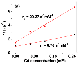 Plot of 1/T1 and 1/T2 as a function of Gd concentration. The slopes correspond to r1 and r2, respectively.