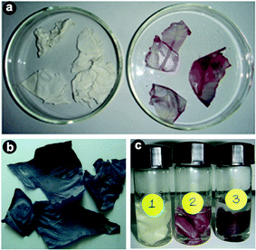 Photographs of (a) bare eggshell membrane and pink colored impregnated eggshell membrane with 10−4 M solution, (b) blue colored impregnated eggshell membrane with 10−2 M metal ion solution and (c) membranes impregnated with 10−6 (1), 10−4 (2) and 10−2 M HAuCl4 (3) solutions for 7 days.