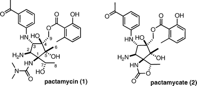 Structures of pactamycin (1) and pactamycate (2).