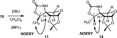 Stereochemical assignment of compounds 11 and 14.