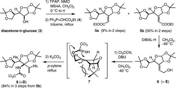 Preparation of trichloroacetamide 8.