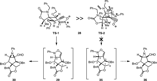 Proposed mechanism for stereoselective 1,3-dipolar cycloaddition of 28.