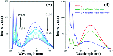 (A) Emission spectra of L in water/DMSO (9.5 : 0.5, v/v) (10 μM) on gradual addition of Hg2+ (0 to 10 μM as nitrate salt). (B) Emission spectra of L in water/DMSO (9.5 : 0.5, v/v) (10 μM) in the presence of the Hg2+ ions and miscellaneous cations (25 μM each) including Fe3+, Fe2+, Co2+, Ni2+, Cu2+, Zn2+, Ag+, Cd2+, Pb2+, Ca2+, Mg2+, Na+, K+ and Hg2+ respectively.