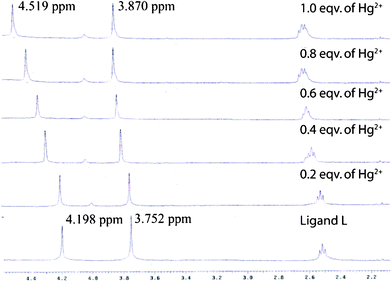 
            1H NMR spectra (in CDCl3, 20 mM) of L after extraction of various amounts of Hg2+ ions from D2O solution. The two marked peaks correspond to the two methylene groups near the aromatic systems.