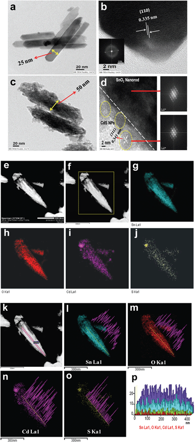 Transmission electron microscopy (TEM) and HRTEM images of SnO2 nanorods (a and b) and the SnO2/CdS heterostructure (c and d). The insets of (b) and (d) show the SAED patterns of the SnO2 nanorods and SnO2/CdS heterostructure. e and f are STEM-HAADF images of a single SnO2/CdS heterostructure nanorod. EDS elemental mapping of the spatial distribution of Sn (g), O (h), Cd(i) and S (j) elements. k shows an STEM-HAADF image of a single SnO2/CdS heterostructure nanorod and EDS line scans across a single SnO2/CdS nanorod (l–o) for Sn, O, Cd and S elements. TEM-EDS concentration line profile of Sn, O, Cd and S, measured along the line across the length (p).