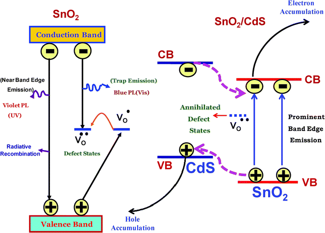 Schematic model proposed for different relaxation processes in SnO2 nanorods and SnO2/CdS heterostructure nanorods.