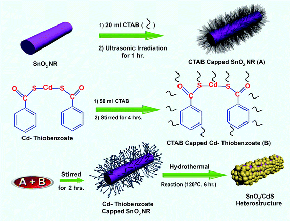 A scheme for the preparation of the SnO2/CdS heterostructure.