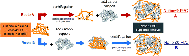 Carbon-supported catalysts can be derived from colloidal Pt via two routes: (A) the carbon support is added after removal of excess Nafion® by centrifugation; (B) the carbon support is added before centrifugation. The two routes produce markedly different Pt particle morphologies, with route A yielding loosely-agglomerated networks of Pt particles extending from the carbon support, whilst route B produces a more conventional, well-dispersed morphology.