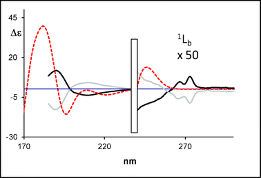 Calculated (weighted sum) ECD spectra of (R)-1-aminotetralin (dotted line) compared with the experimental data for (R)-(−)-1-aminotetralin (black bold solid line) and (S)-(+)-1-aminotetralin (grey bold solid line) (1b).