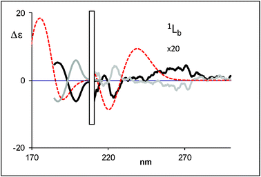 Calculated (weighted sum) ECD spectra of (R)-1-tetralol (dotted line) compared with the experimental data for (R)-(−)-1-tetralol (black bold solid line) and (S)-(+)-1-tetralol (grey bold solid line) (1a).