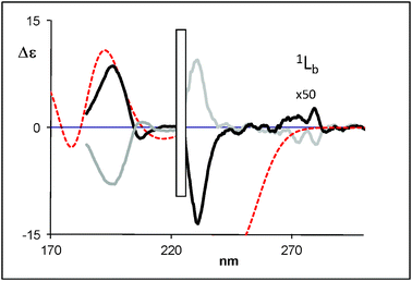 Calculated (weighted sum) ECD spectra of (R)-5-hydroxy-2-tetralol (dotted line) compared with the experimental data for (R)-(+)-5-hydroxy-2-tetralol (black bold solid line) and (S)-(−)-5-hydroxy-2-tetralol (grey bold solid line) (2b).