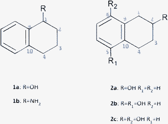 scheme, filename = c2ra21080k-s1.gif