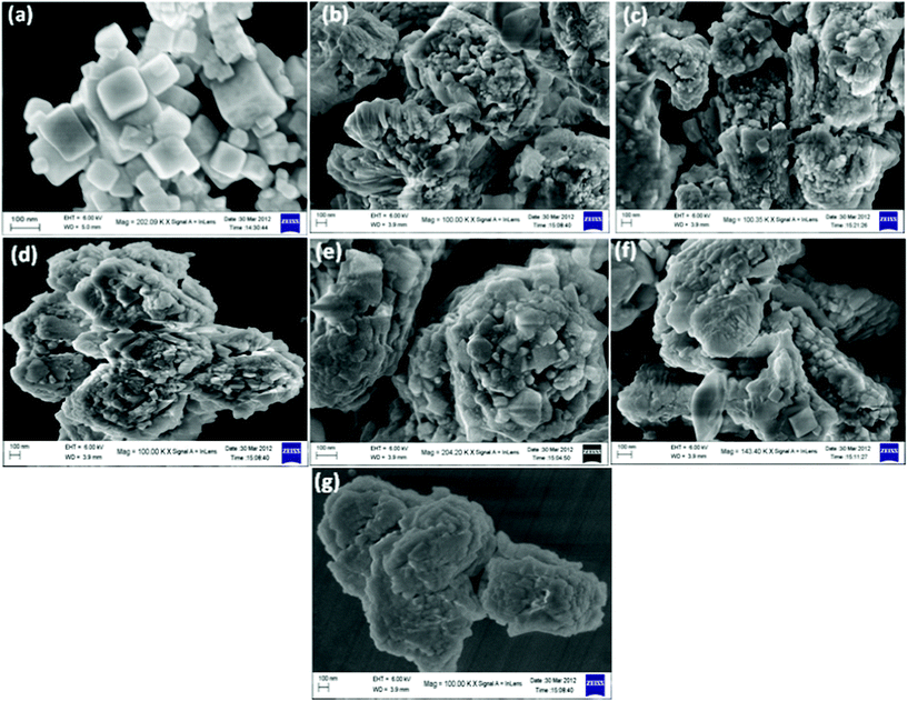 FESEM images of (a) NaTaO3 (b) Bi–NaTaO3 (c) 0.1 Bi2O3/Bi–NaTaO3 (d) 0.2 Bi2O3/Bi–NaTaO3 (e) 0.3 Bi2O3/Bi–NaTaO3 (f) 0.4 Bi2O3/Bi–NaTaO3 (g) 0.5 Bi2O3/Bi–NaTaO3.